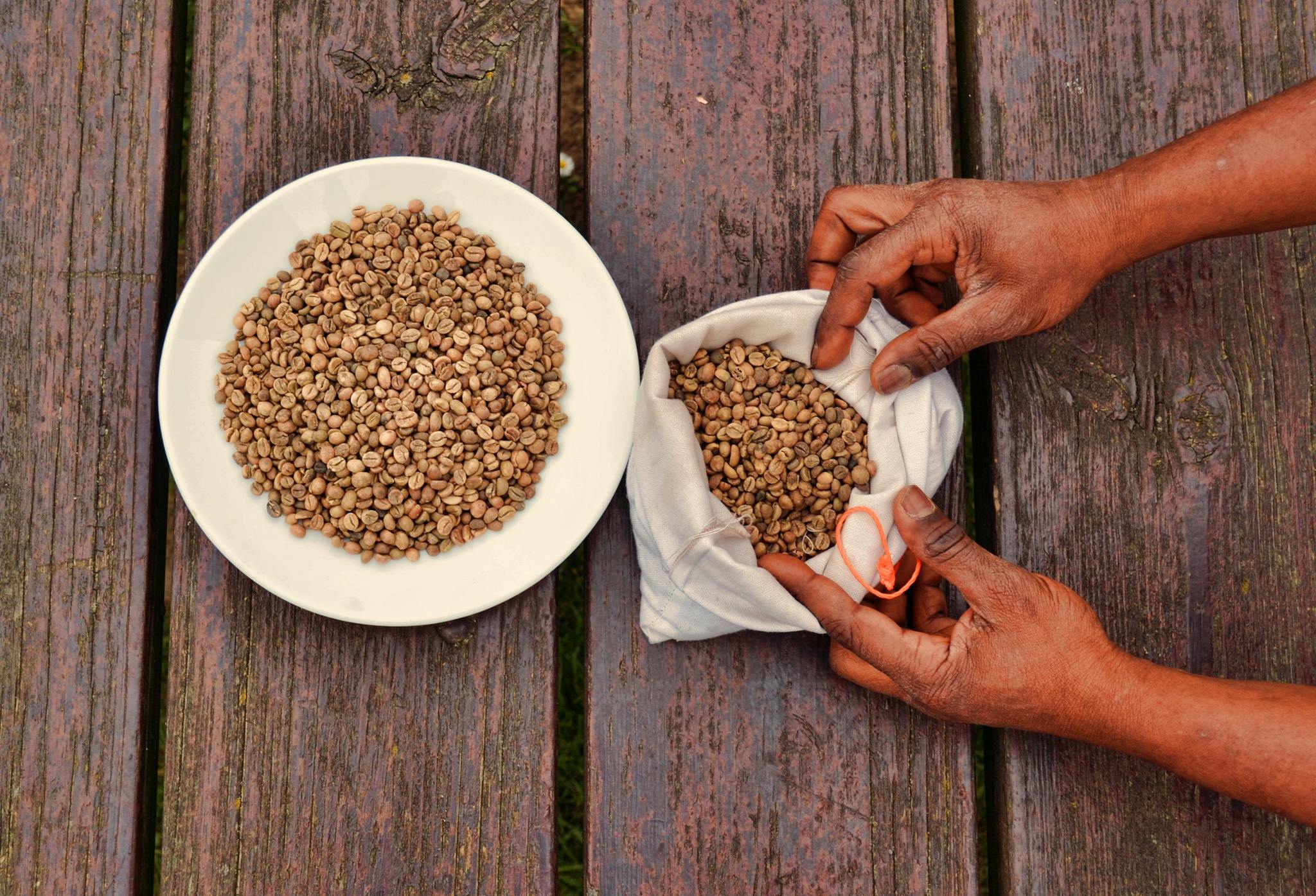 Burlap sack overflowing with unroasted Ethiopian coffee beans